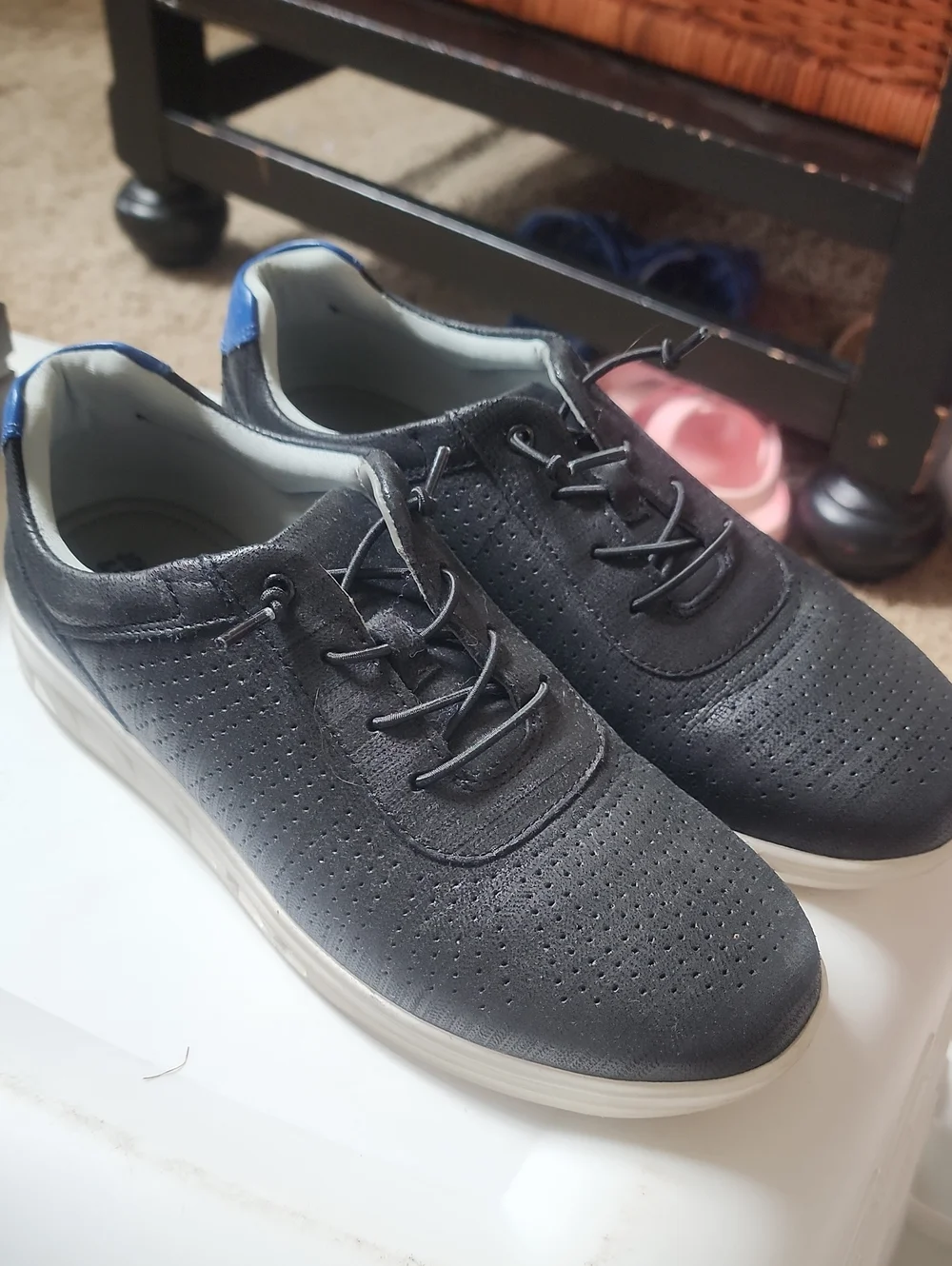 Sz 5M Boys Casual Perforated Lace-Up Genuine Leather Dress Sneaker in Black